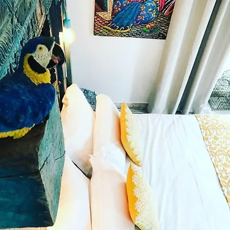 Le Presbytere Du Nebbiu Piscine Et Jacuzzi Vakantiehuis *