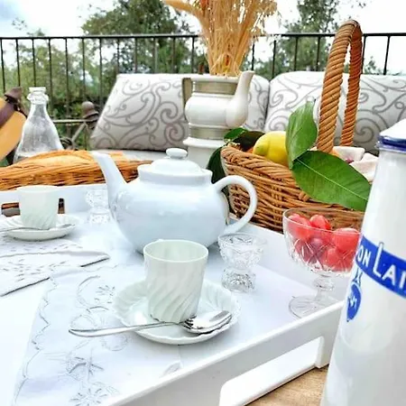 Vakantiehuis Le Presbytere Du Nebbiu Piscine Et Jacuzzi Santo-Pietro-di-Tenda