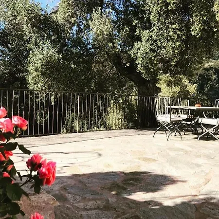 Tatil Evi Le Presbytere Du Nebbiu Piscine Et Jacuzzi Santo-Pietro-di-Tenda