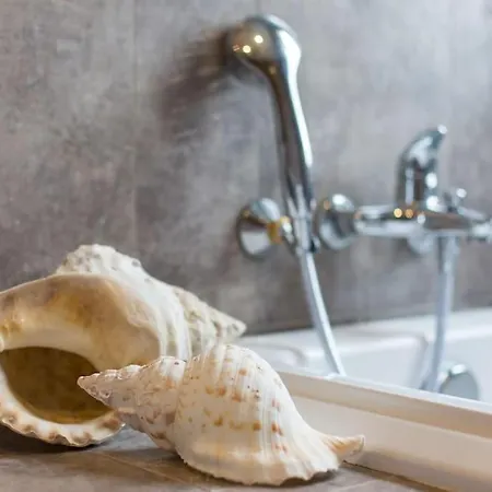 Le Presbytere Du Nebbiu Piscine Et Jacuzzi Tatil Evi Santo-Pietro-di-Tenda